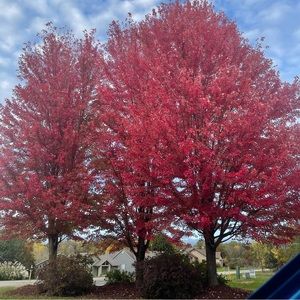 Meet your Posher, Gretchen